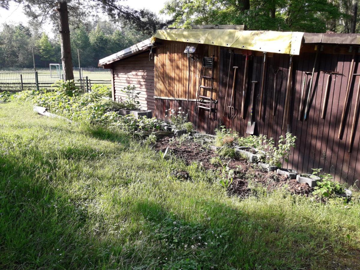 齐陶Birkenhof Ashram Shanti Zimmer公寓 外观 照片